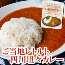 画像1: レトルトカレー 四川坦々カレー 200g(Japanese Retort Curry Szechuan Tantan Curry 200g) (1)