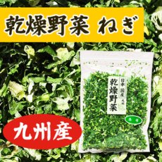 Photo1: 乾燥野菜 国産 ねぎ 30ｇ (1)