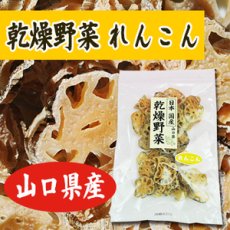 画像1: 乾燥野菜 国産 れんこん 60ｇ (1)