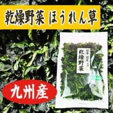 画像1: 乾燥野菜 国産 ほうれん草 95ｇ (1)