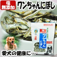 画像1: 塩無添加 ワンちゃんにぼし お徳用 1kg　(愛犬の食べる小魚 煮干し おやつ) (サカモト)(Japanese Additive-free Salt Doggie Niboshi, virtuous 1kg (Small Fish for Dogs, Dried Fish, Snack) (Sakamoto)) (1)