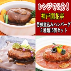 画像1: レトルト ハンバーグ 神戸開花亭 芳醇煮込みハンバーグ ３種類15個セット(Japanese Retort hamburger steak Kobe Kaikatei mellow stewed hamburger steak 3 kinds 15 pieces set) (1)