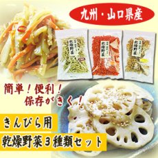 画像1: 乾燥野菜 国産 きんぴら用 ３種類セット 吉良食品（れんこん・ごぼう・にんじん） (1)