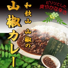 画像1: 和歌山　山椒カレー レトルト 国産 山椒 こだわり ご当地  三越伊勢丹フーズ(Japanese Wakayama Sansho Curry Retort - Japanese Prickly Ash - Gokochi - Isetan Mitsukoshi Foods) (1)