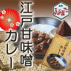 Photo1: 東京　江戸甘味噌カレー レトルト(Japanese Tokyo Edo sweet miso curry retort) (1)