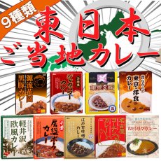 画像1: 東日本 ご当地 レトルトカレー 9種類セット 名物カレー(Japanese East Japan Local Retort Curry 9 kinds set Specialty Curry) (1)
