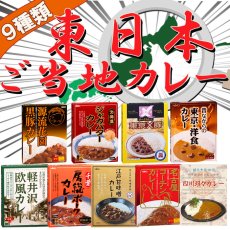 Photo1: 東日本 ご当地 レトルトカレー 9種類セット 名物カレー(Japanese East Japan Local Retort Curry 9 kinds set Specialty Curry) (1)