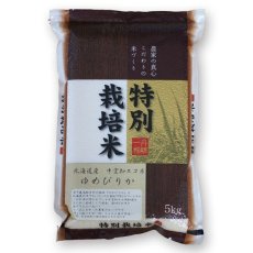 画像2: 北海道　ゆめぴりか 無洗米　5kg(Japanese Hokkaido Yumepirika unwashed rice 5kg) (2)
