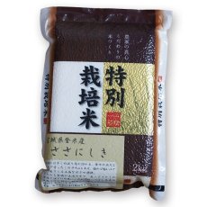 Photo2: 宮城県　登米産 ささにしき 無洗米　2kg (2)