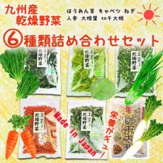 Photo1: 乾燥野菜 九州産 6種類詰め合わせセット 手軽で便利な乾燥野菜のお試しセット (1)