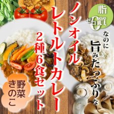 画像1: ノンオイル レトルトカレー2種6食お試しセット　野菜ときのこ 脂質ゼロなのに旨みたっぷり！糖質ゼロ食品　インスタントカレー　即席カレー　ダイエット(Japanese Non-oil Retort Curry 6-serving Trial Set of 2 Kinds of Vegetable and Mushroom Zero fat, yet full of flavor! Zero carbohydrate food Instant curry Instant curry Diet) (1)