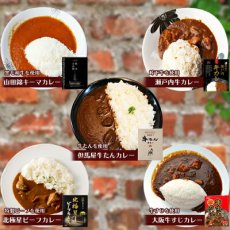 画像3: 厳選 レトルト 牛カレー アソートセット 5種類5食 牛肉 ギフト 贈り物 景品 父の日(Japanese Selected Retort Beef Curry Assortment Set 5 kinds 5 servings Beef gift Giveaway Father's Day) (3)