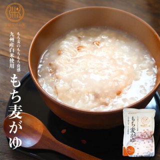 レトルト おかゆ 国産 24種の具材たっぷり健康がゆ 250g ベスト