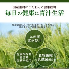 画像2: 青汁習慣 3gX20包入 JA全農 大麦若葉 乳酸菌配合 野菜不足 ドリンク 国産 (2)