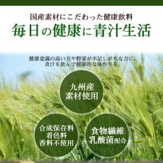 Photo2: 青汁習慣 3gX20包入 JA全農 大麦若葉 乳酸菌配合 野菜不足 ドリンク 国産 (2)
