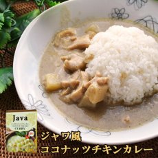 画像1: ジャワ風ココナッツチキンカレー（レトルトカレー 180ｇ）ＤＦＥ(Japanese Javanese Coconut Chicken Curry (Retort Curry 180g) DFE) (1)