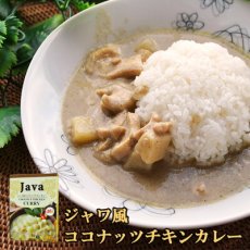 Photo1: ジャワ風ココナッツチキンカレー（レトルトカレー 180ｇ）ＤＦＥ(Japanese Javanese Coconut Chicken Curry (Retort Curry 180g) DFE) (1)