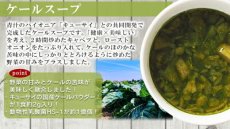 画像6: NF わかめスープ フリーズドライ スープ 化学調味料無添加 コスモス食品 インスタント 即席 非常食 保存食(Japanese NF Wakame Soup Freeze-dried Soup Additive-free Chemical Seasoning Cosmos Foods Instant Instant Emergency Food Preserved Food) (6)
