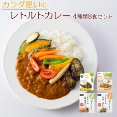 画像1: カラダ思いのレトルトカレー 4種類8食 お試しセット 詰め合わせ 健康志向 常温保存(Japanese Retort curry for the body, 4 kinds, 8 servings, trial set, assortment, health-conscious) (1)