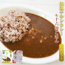 画像1: 本枯鰹の和風チキンカレー＆十六穀ごはん無菌パック12食セット カレーライス 低糖質カレー ランチ 簡単調理 常温保存(Japanese Japanese-style chicken curry with bonito & rice with 16 grains aseptic pack 12-serving set Curry rice, low-sugar curry, easy to prepare for lunch) (1)