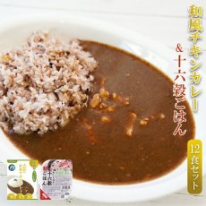 Photo1: 本枯鰹の和風チキンカレー＆十六穀ごはん無菌パック12食セット カレーライス 低糖質カレー ランチ 簡単調理 常温保存(Japanese Japanese-style chicken curry with bonito & rice with 16 grains aseptic pack 12-serving set Curry rice, low-sugar curry, easy to prepare for lunch) (1)