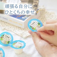 画像3: 北海道レアチーズケーキミニ 8 個入 (3)