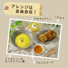 Photo5: 無添加 北海道産 野菜フレーク にんじん65g (5)