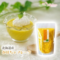 画像1: 無添加 北海道産 野菜フレーク かぼちゃ 80g (1)