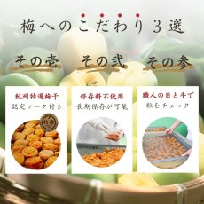 画像2: 紀州南高梅  贅沢茶漬け山椒だし茶漬け詰合せ 10食入 (2)