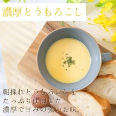 画像3: 無添加 北海道濃厚ポタージュギフトセット 2種計18食入り (3)