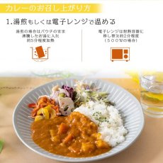 画像5: レトルト 化学調味料無添加 チキン キーマカレー 180g ミッション 即席 インスタント 健康志向 (5)
