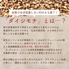画像5: ［海外発送可］ご飯がいらないもち麦カレー 食品添加物・動物性食品不使用 (5)