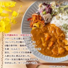 画像3: レトルト 化学調味料無添加 チキン キーマカレー 180g ミッション 即席 インスタント 健康志向 (3)