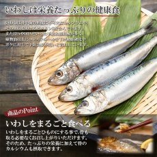 画像2: 【限定50％OFF】まるごとくん　いわしのひもの　国産 干物（賞味期限：2025/11/25） (2)