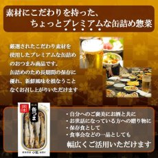 画像3: 【海外発送可】缶つま 岐阜県産 小鮎油漬け 55g 国分 (3)