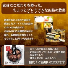 画像3: 【海外発送可】缶つま 国産牛すじ煮込み 75g 国分 (3)