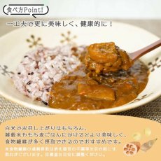 画像10: 【海外発送可】食物繊維豊富 大豆ミートのキーマ風 レトルト カレー 180ｇ たけのこ れんこん入り (10)