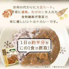 画像6: 【海外発送可】食物繊維豊富 大豆ミートのキーマ風 レトルト カレー 180ｇ たけのこ れんこん入り (6)