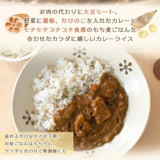 画像6: 【海外発送可】１食で１日の半分以上の食物繊維 大豆ミートのキーマカレー ＆ もち麦ごはん カレーライス ６食分セット (6)