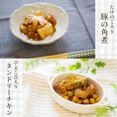画像11: 【海外発送可】レンジ対応魚と肉の和食＆洋食15 種セット 高タンパク質食品 常温保存 レトルト食品 (11)