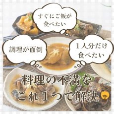 画像12: 【海外発送可】レンジ対応魚と肉の和食＆洋食15 種セット 高タンパク質食品 常温保存 レトルト食品 (12)