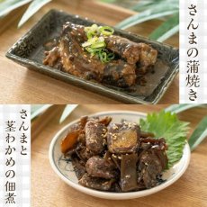 画像5: 【海外発送可】レンジ対応魚と肉の和食＆洋食15 種セット 高タンパク質食品 常温保存 レトルト食品 (5)