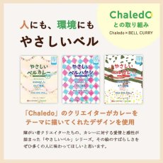 画像7: 【海外発送可】減塩カレー ハヤシ かるしお 4種8食セット (7)