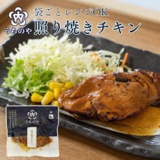 画像1: 【海外発送可】レンジ対応パック 照り焼きチキン　120g レトルト おかず 和食 惣菜 常温保存 (1)