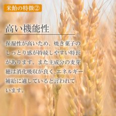 画像5: 【海外発送可】餅米飴 220ｇ X 3個（ライス シロップ） 体に優しい 甘味料 国産 ヴィーガン Brown Rice Malt（リッチ・琥珀色・旨味） 乳幼児対応 無添加｜マタニティ協会認定食品 (コピー) (5)