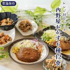 画像1: 【海外発送可】内野屋 レンジ対応パック惣菜6種12食セット (1)