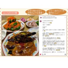 画像9: 【海外発送可】大豆ミートの麻婆ナス150g 中華料理 タケノコ入り (9)