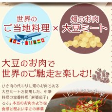 画像3: 【海外発送可】大豆ミートの麻婆ナス150g 中華料理 タケノコ入り (3)