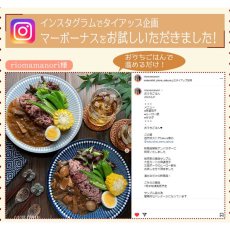 画像7: 【海外発送可】大豆ミートの麻婆ナス150g 中華料理 タケノコ入り (7)
