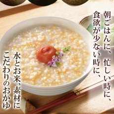 画像3: 体思いの優しい味わい レトルトおかゆ 15種類計30食詰め合わせセット 常温保存 無添加 (3)